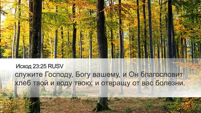 Исход 23:25 RUSV Bible Verse Image