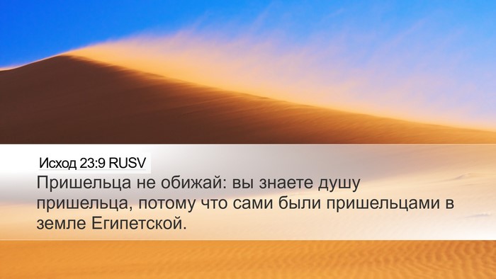 Исход 23:9 RUSV Bible Verse Image