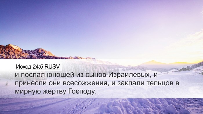Исход 24:5 RUSV Bible Verse Image