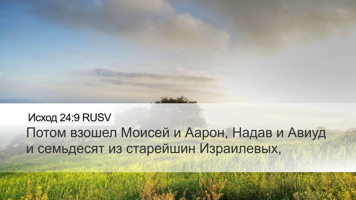 Исход 24:9 RUSV Bible Verse Image