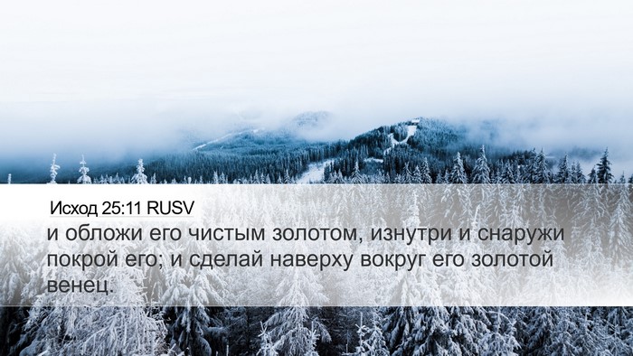 Исход 25:11 RUSV Bible Verse Image