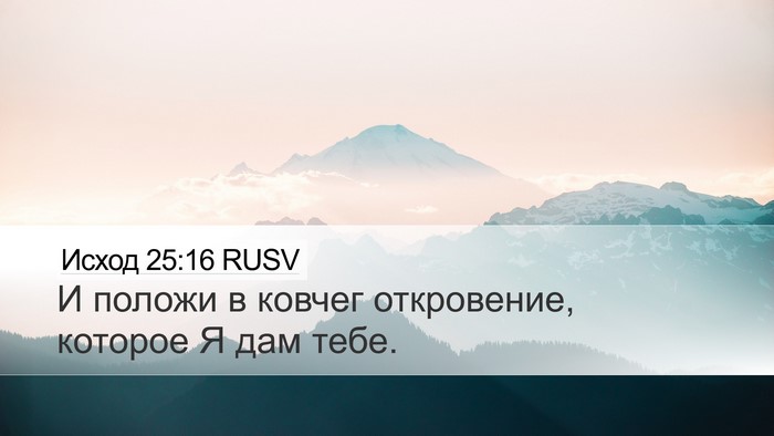 Исход 25:16 RUSV Bible Verse Image