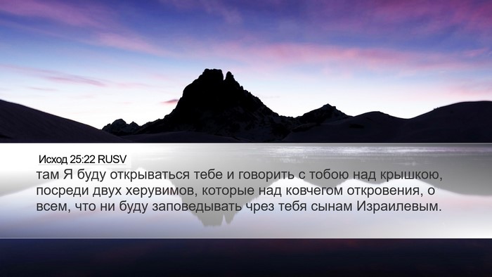 Исход 25:22 RUSV Bible Verse Image