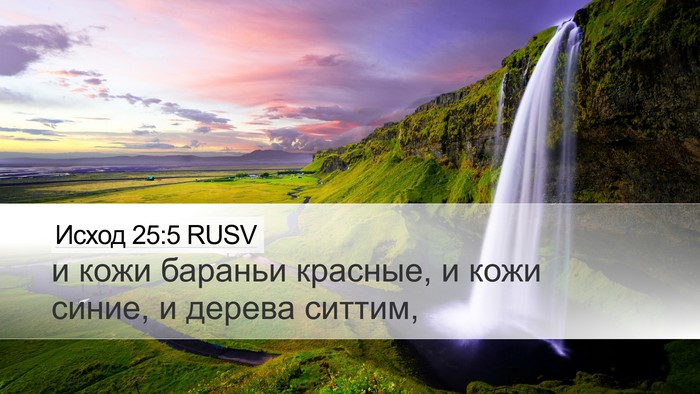 Исход 25:5 RUSV Bible Verse Image