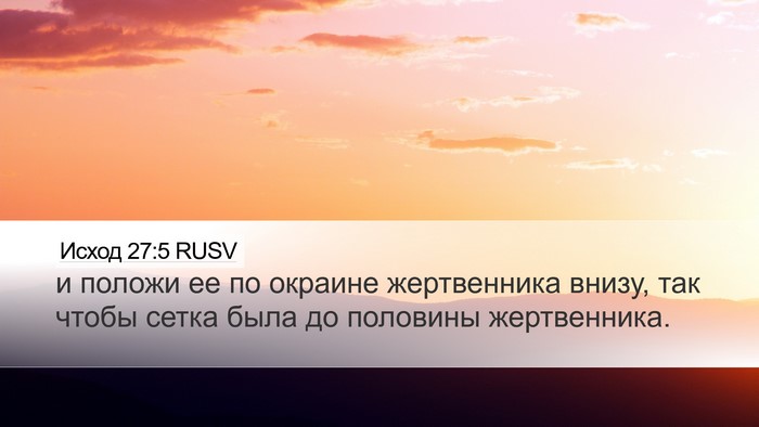 Исход 27:5 RUSV Desktop Wallpaper - и положи ее по окраине - Desktop Bible Verse Wallpaper