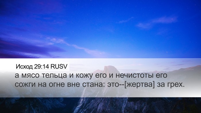 Исход 29:14 RUSV Bible Verse Image