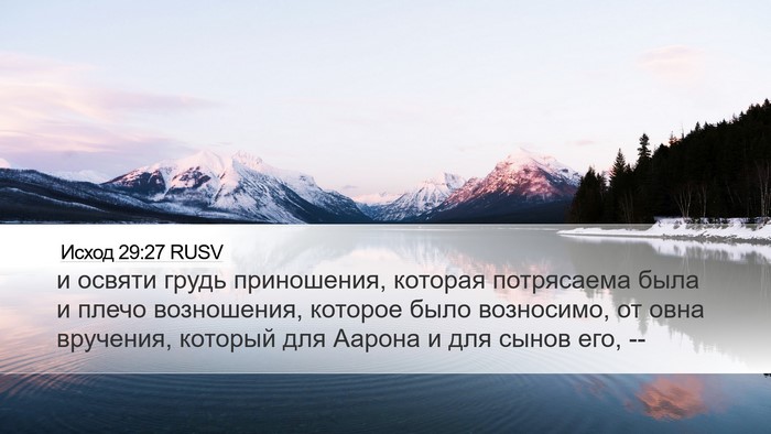 Исход 29:27 RUSV Bible Verse Image