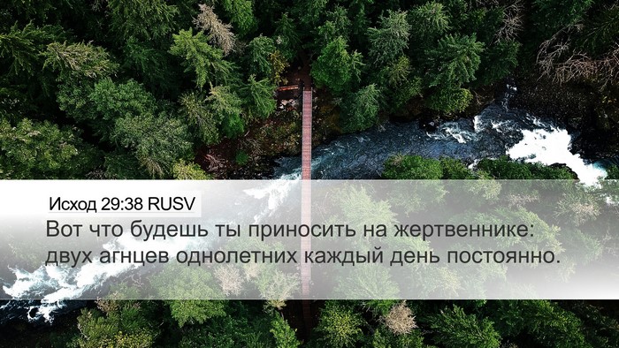 Исход 29:38 RUSV Bible Verse Image