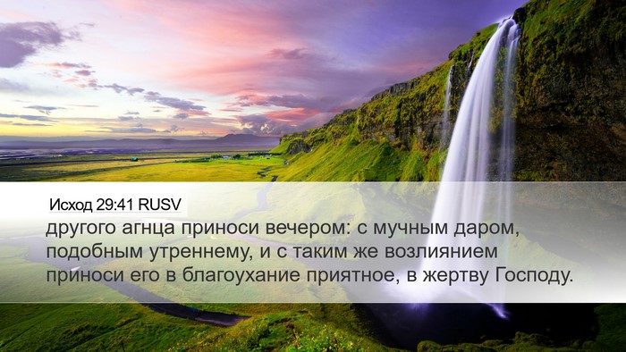 Исход 29:41 RUSV Bible Verse Image