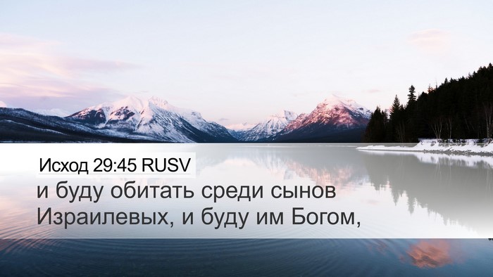 Исход 29:45 RUSV Bible Verse Image