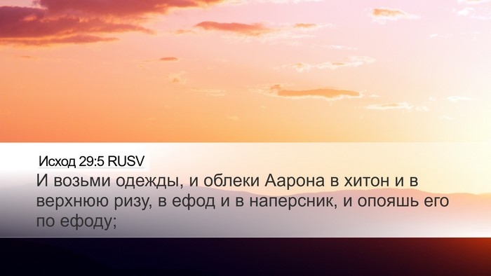 Исход 29:5 RUSV Bible Verse Image