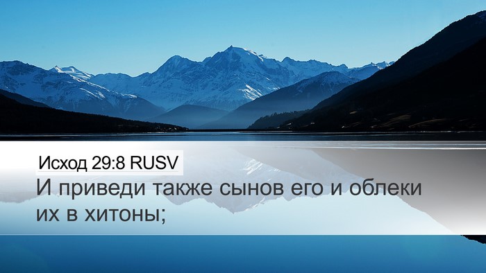 Исход 29:8 RUSV Bible Verse Image