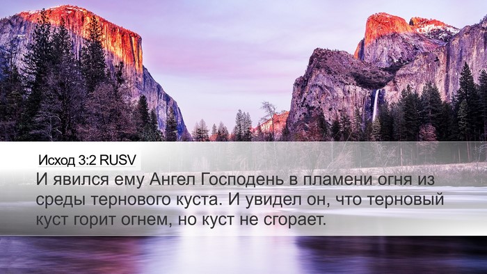 Исход 3:2 RUSV Bible Verse Image