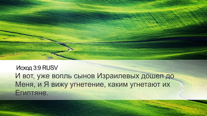 Исход 3:9 RUSV Bible Verse Image