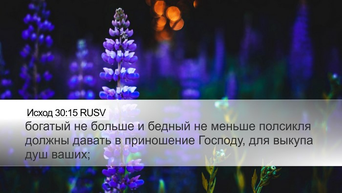Исход 30:15 RUSV Bible Verse Image