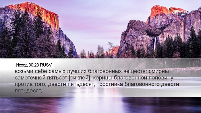 Исход 30:23 RUSV Bible Verse Image