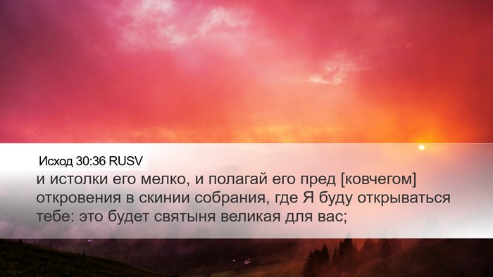 Исход 30:36 RUSV Bible Verse Image