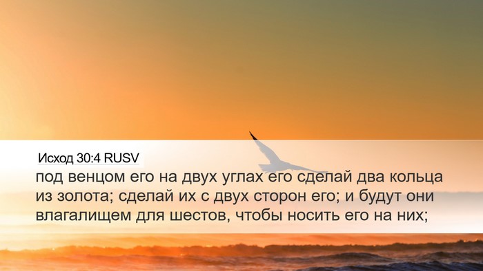 Исход 30:4 RUSV Bible Verse Image