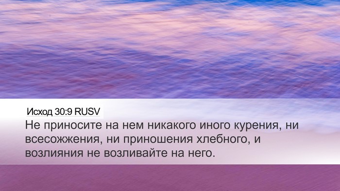 Исход 30:9 RUSV Bible Verse Image