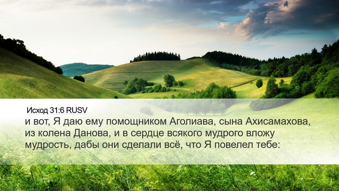 Исход 31:6 RUSV Bible Verse Image