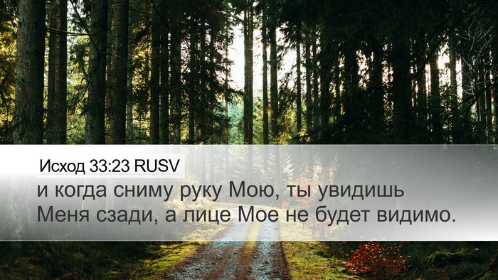 Исход 33:23 RUSV Bible Verse Image