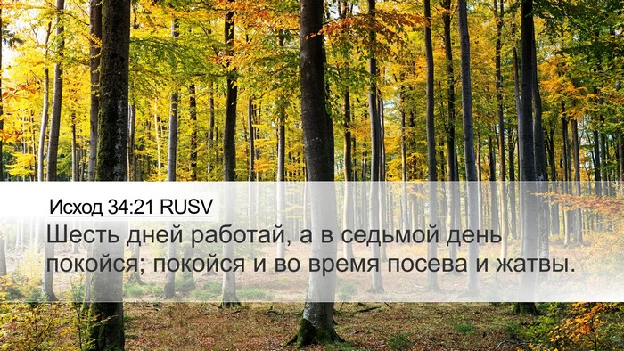Исход 34:21 RUSV Bible Verse Image