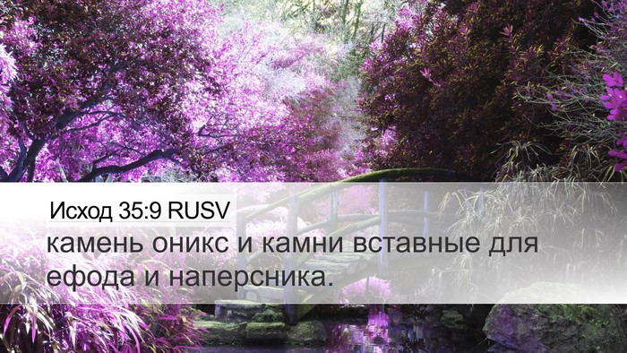 Исход 35:9 RUSV Bible Verse Image