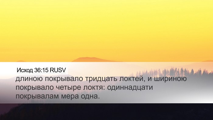 Исход 36:15 RUSV Desktop Wallpaper - длиною покрывало тридцать - Desktop Bible Verse Wallpaper