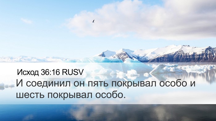 Исход 36:16 RUSV Desktop Wallpaper - И соединил он пять - Desktop Bible Verse Wallpaper