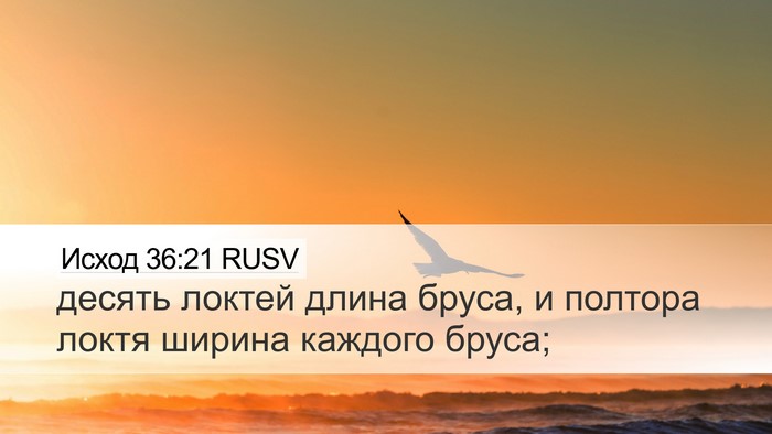 Исход 36:21 RUSV Desktop Wallpaper - десять локтей длина бруса, - Desktop Bible Verse Wallpaper