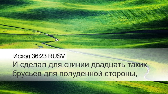 Исход 36:23 RUSV Desktop Wallpaper - И сделал для скинии - Desktop Bible Verse Wallpaper