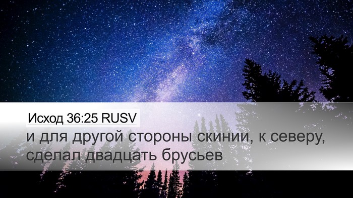 Исход 36:25 RUSV Desktop Wallpaper - и для другой стороны - Desktop Bible Verse Wallpaper