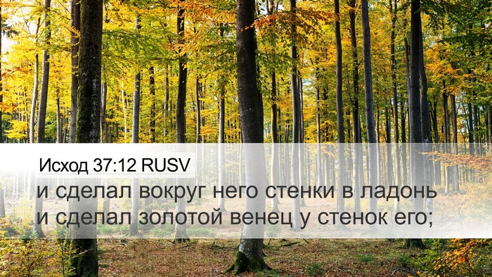 Исход 37:12 RUSV Desktop Wallpaper - и сделал вокруг него - Desktop Bible Verse Wallpaper