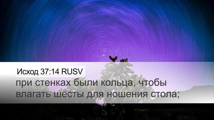 Исход 37:14 RUSV Desktop Wallpaper - при стенках были кольца, - Desktop Bible Verse Wallpaper