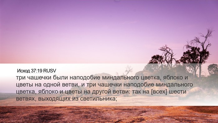 Исход 37:19 RUSV Desktop Wallpaper - три чашечки были наподобие - Desktop Bible Verse Wallpaper
