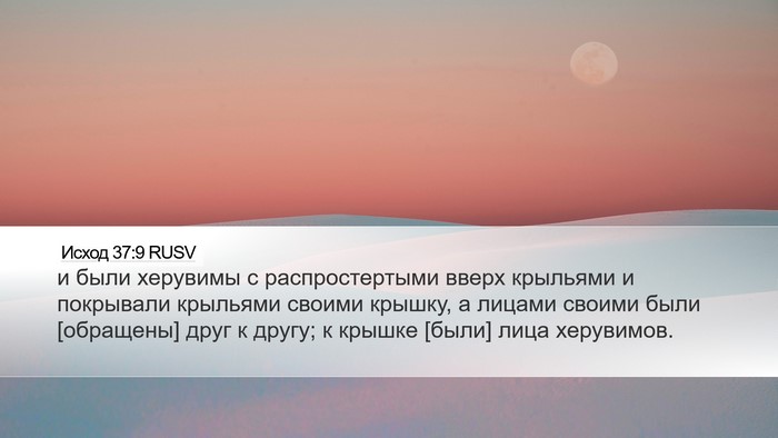 Исход 37:9 RUSV Bible Verse Image