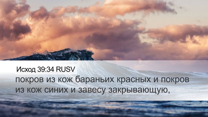 Исход 39:34 RUSV Bible Verse Image