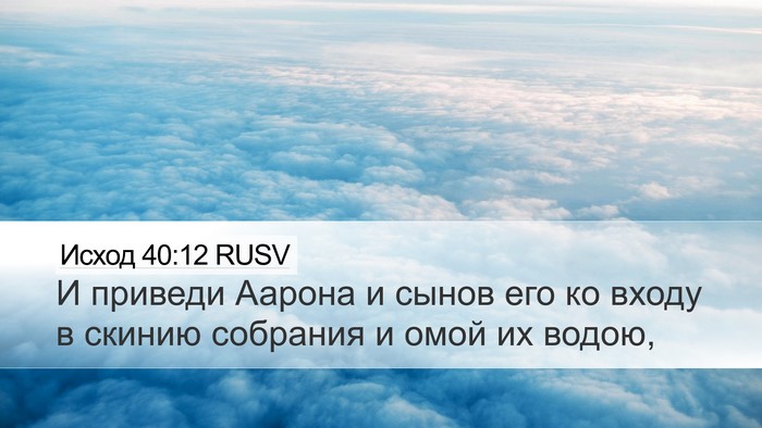 Исход 40:12 RUSV Bible Verse Image