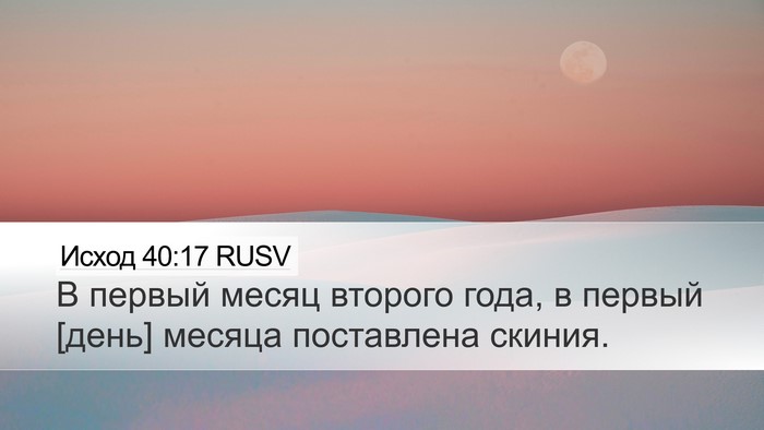 Исход 40:17 RUSV Bible Verse Image