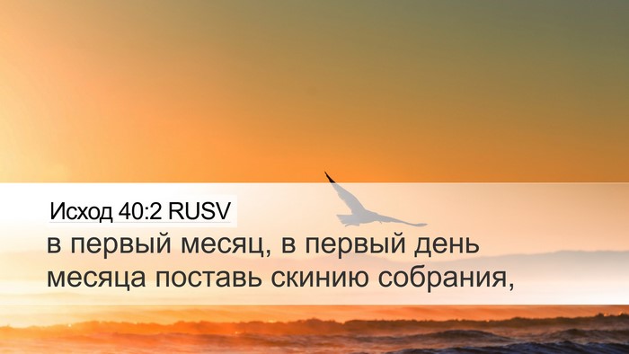Исход 40:2 RUSV Bible Verse Image