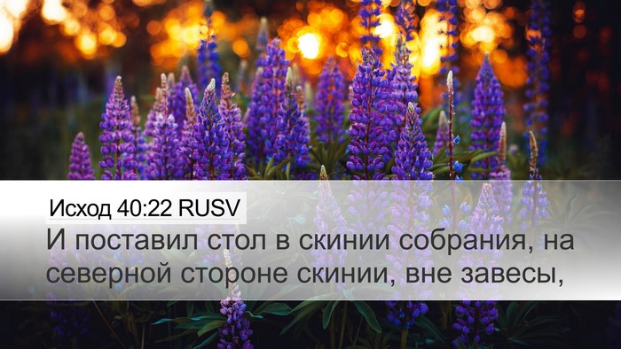 Исход 40:22 RUSV Bible Verse Image