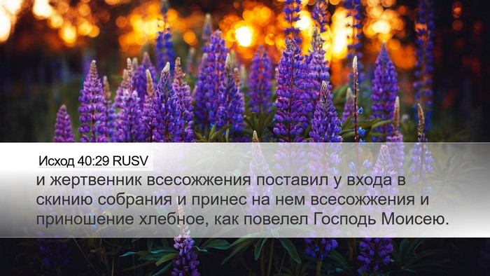 Исход 40:29 RUSV Bible Verse Image