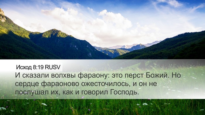 Исход 8:19 RUSV Bible Verse Image