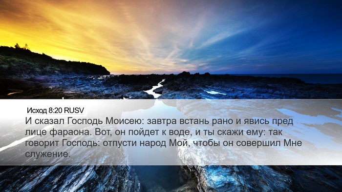 Исход 8:20 RUSV Bible Verse Image