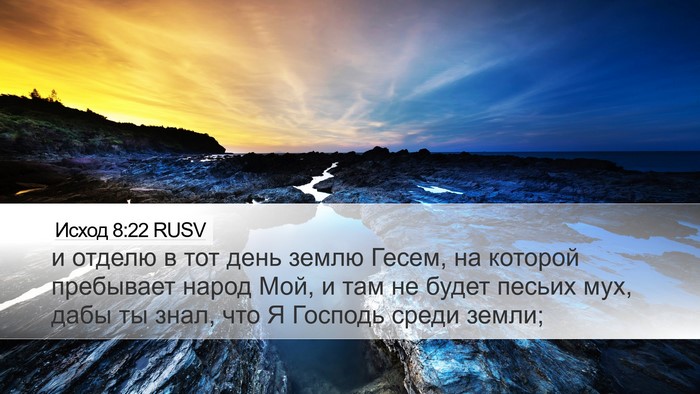 Исход 8:22 RUSV Bible Verse Image