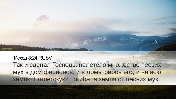 Исход 8:24 RUSV Bible Verse Image