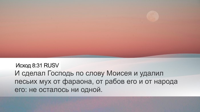 Исход 8:31 RUSV Desktop Wallpaper - И сделал Господь по слову - Desktop Bible Verse Wallpaper
