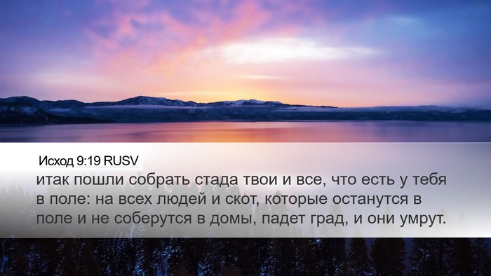 Исход 9:19 RUSV Bible Verse Image
