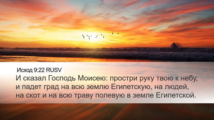 Исход 9:22 RUSV Desktop Wallpaper - И сказал Господь Моисею: - Desktop Bible Verse Wallpaper