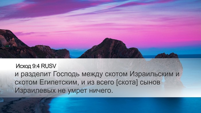 Исход 9:4 RUSV Desktop Wallpaper - и разделит Господь между - Desktop Bible Verse Wallpaper